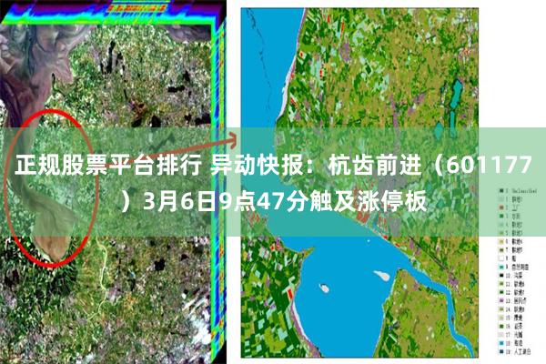 正规股票平台排行 异动快报：杭齿前进（601177）3月6日9点47分触及涨停板