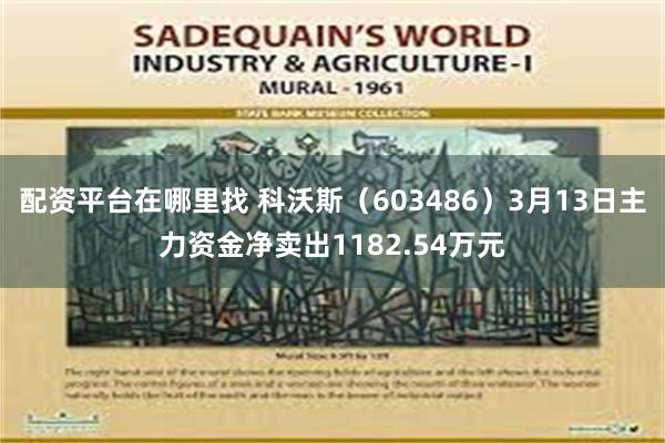 配资平台在哪里找 科沃斯（603486）3月13日主力资金净卖出1182.54万元
