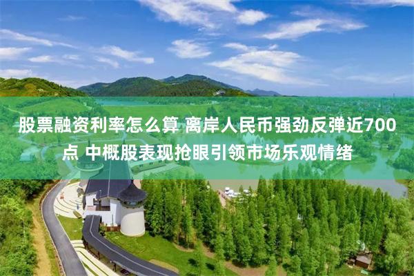 股票融资利率怎么算 离岸人民币强劲反弹近700点 中概股表现抢眼引领市场乐观情绪
