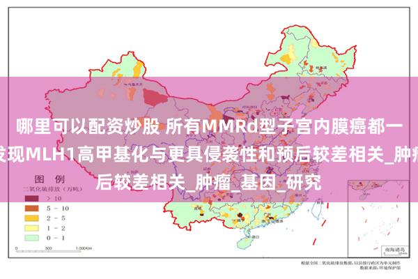哪里可以配资炒股 所有MMRd型子宫内膜癌都一样吗？细分发现MLH1高甲基化与更具侵袭性和预后较差相关_肿瘤_基因_研究