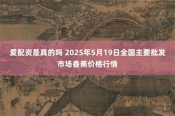 爱配资是真的吗 2025年5月19日全国主要批发市场香蕉价格行情