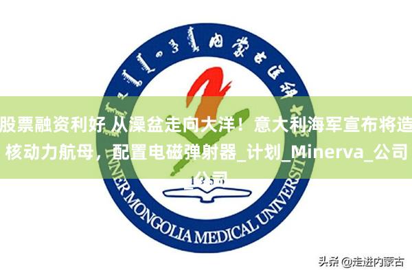 股票融资利好 从澡盆走向大洋！意大利海军宣布将造核动力航母，配置电磁弹射器_计划_Minerva_公司