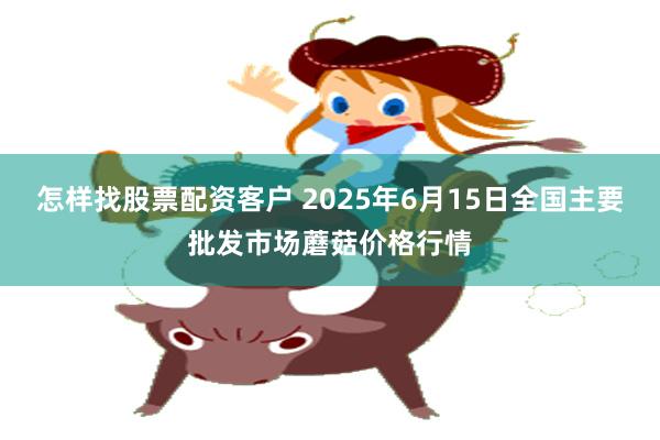 怎样找股票配资客户 2025年6月15日全国主要批发市场蘑菇价格行情