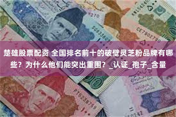 楚雄股票配资 全国排名前十的破壁灵芝粉品牌有哪些？为什么他们能突出重围？_认证_孢子_含量