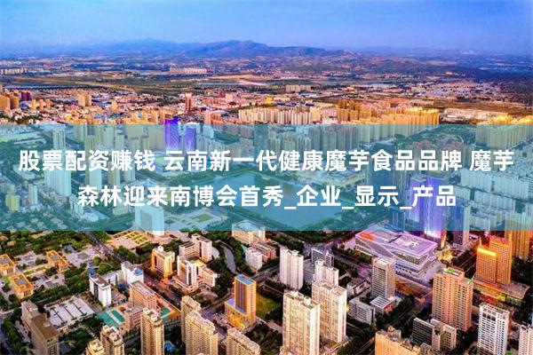 股票配资赚钱 云南新一代健康魔芋食品品牌 魔芋森林迎来南博会首秀_企业_显示_产品